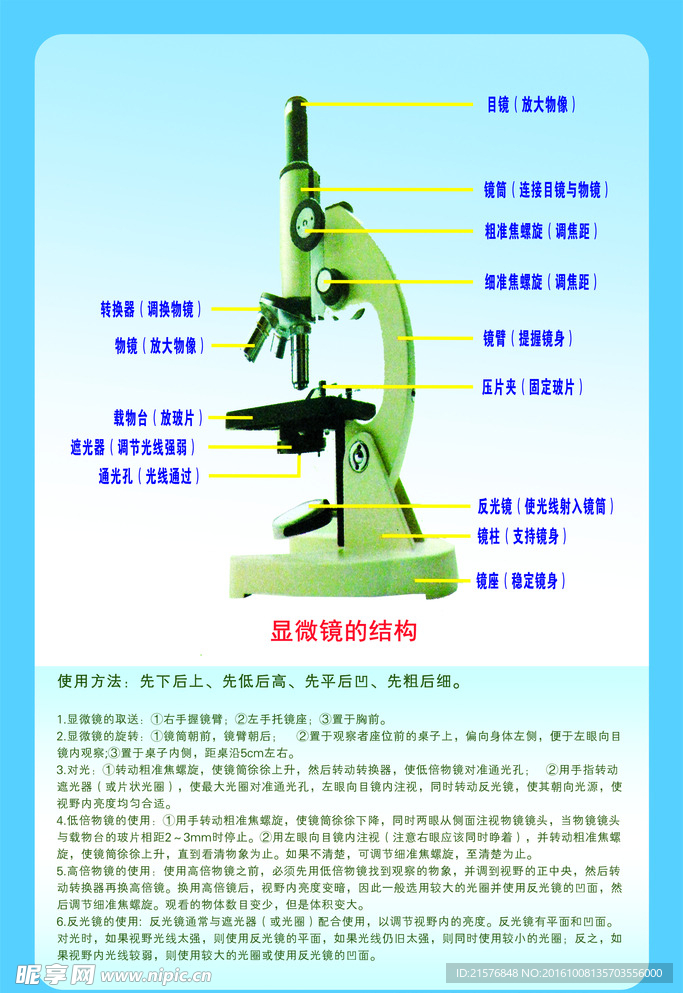 生物显微镜的结构