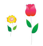 花儿