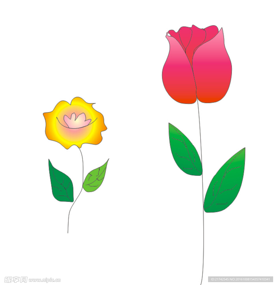 花儿
