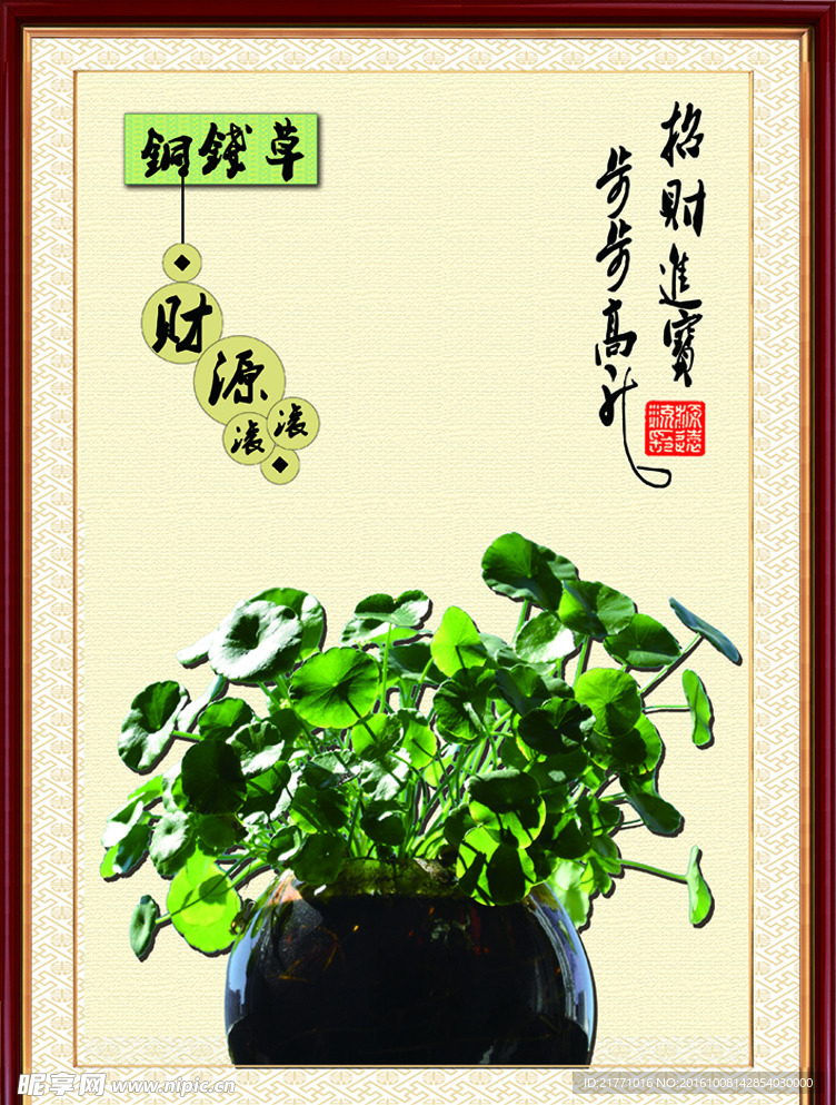 铜钱草挂画