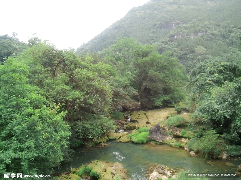 青山绿水