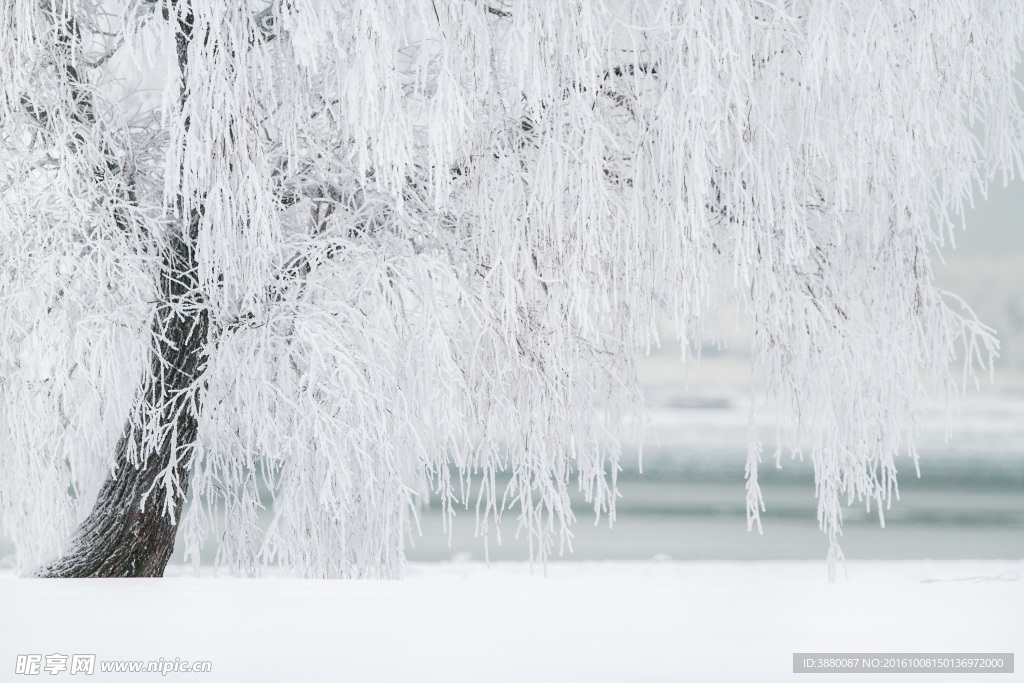 雪