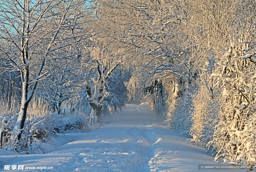 雪景