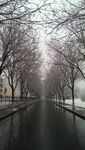 雪后