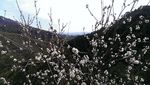 圣泉山