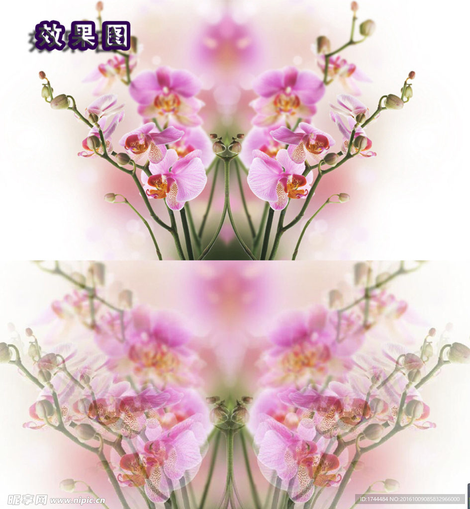 梦幻蝴蝶兰粉色花朵视频背景