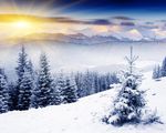 长白山 冰雪山林景色