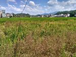 乡村田野
