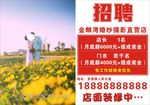 招聘广告