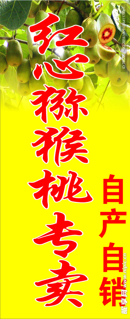 猕猴桃