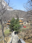 莲花寺
