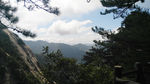 天堂寨山峰和松树