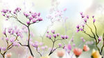 鲜花风景背景