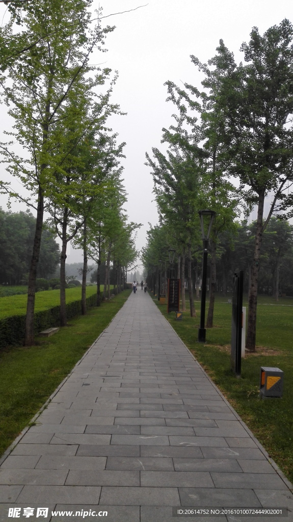 城市公园