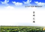 荷花封面加长封面2016