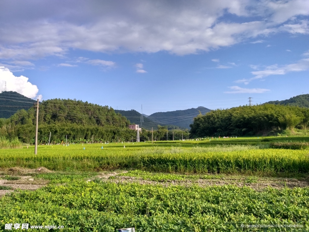 山川的田野
