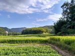山川的田野