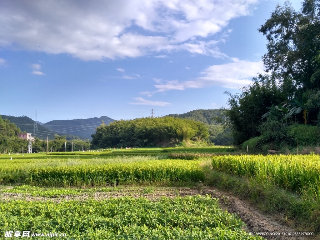 山川的田野