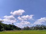 田野上的蓝天白云