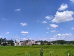 田野上的蓝天白云