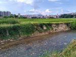田园小河