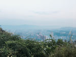 城市风景