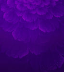 鲜花背景