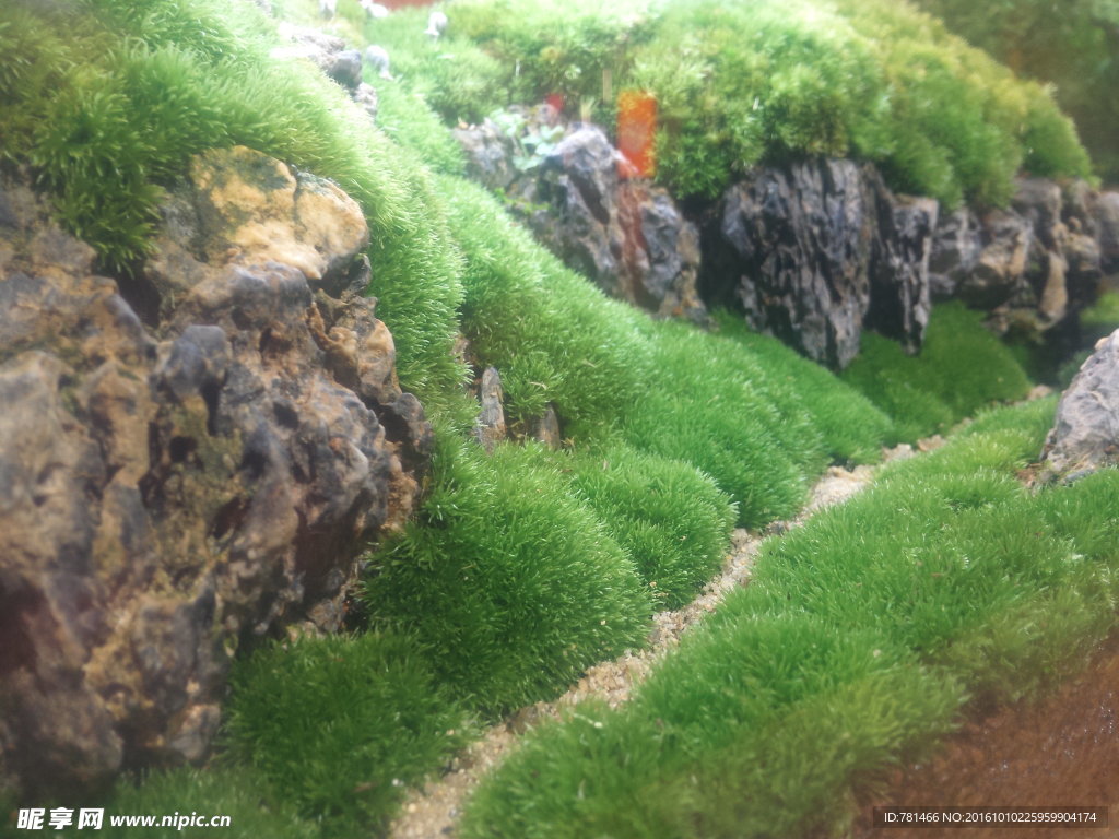 山间小路2
