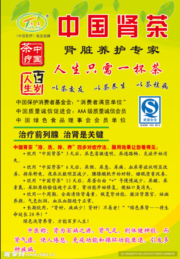 肾茶