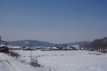 东北雪地