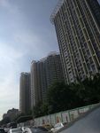 高楼大厦