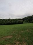 草地