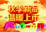 秋季海报