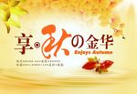 秋季吊挂