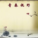 青春视野