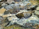 岩石上的流水