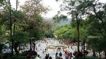 白云山山顶广场