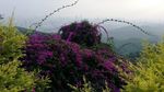 绝美白云山