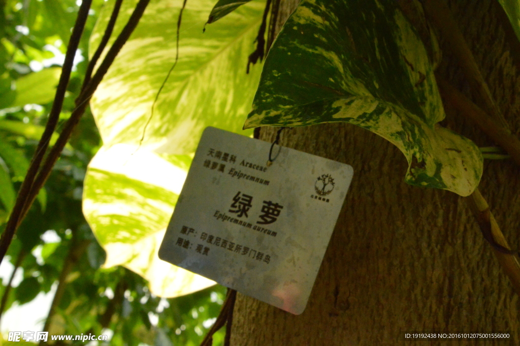 温室景观