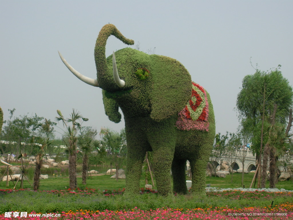 公园绿色植物大象造型