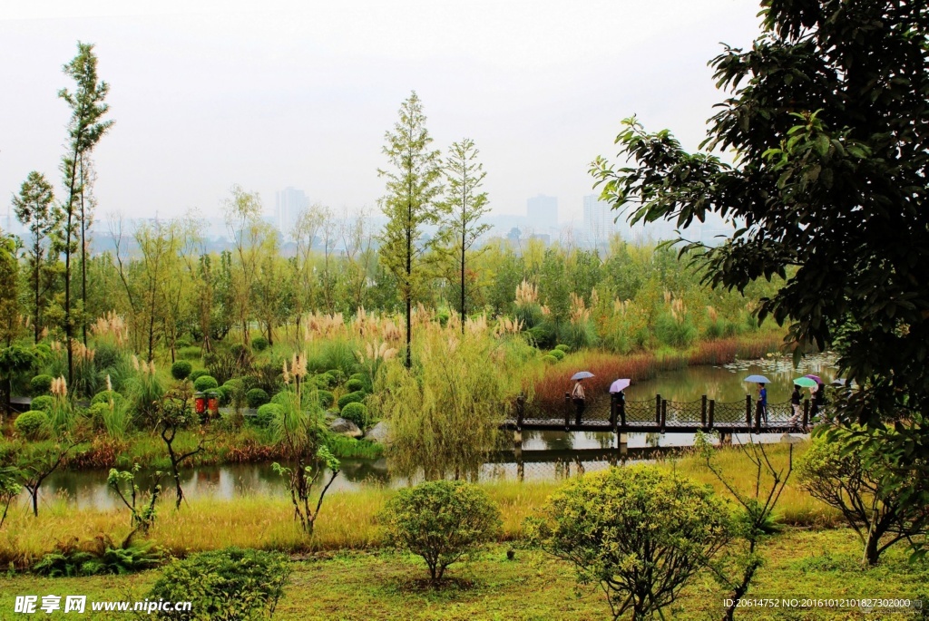 田园美景