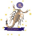 星座矢量