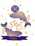 星座矢量