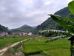 山川的田野