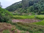 山川的田野