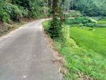 山川小路