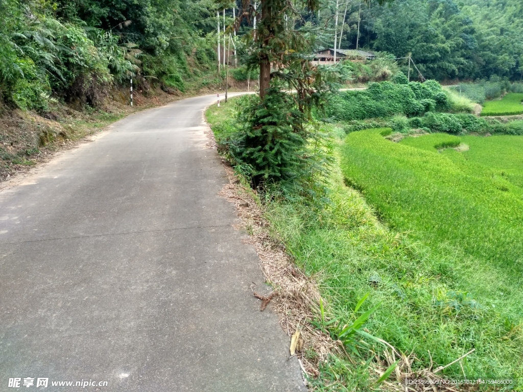 山川小路