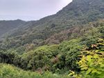 山峰