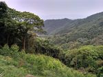 山峰