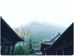寺庙一景